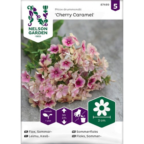 Flox Sommar Cherry Caramel Nelson Garden