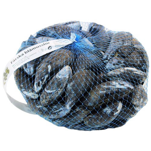 Blåmusslor