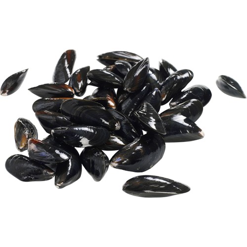 Blåmusslor