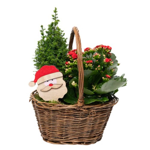 Grepkorg Tomte