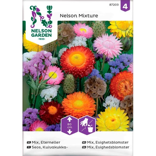 Eterneller Mix 1-p Nelson Garden