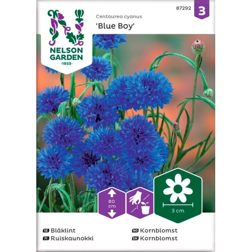 Blåklint Blue Boy 1-p Nelson Garden