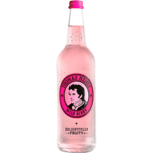 Mixer Wildberry 750ml Thomas Henry