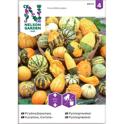 Prydnadspumpa Blandade sorter 1-p Nelson Garden