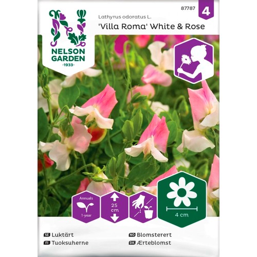 Luktärt Villa Roma White 1-p Nelson Garden