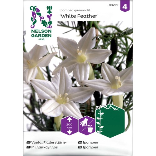 Fröer Fjäderstjärnvinda 1st Nelson Garden
