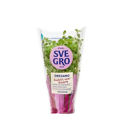 Oregano i kruka Ekologisk 1-p KRAV Svegro