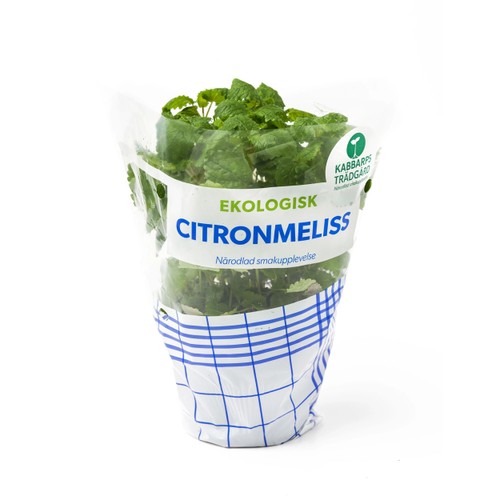Citronmeliss Ekologisk 1-p Kabbarps Trädgård