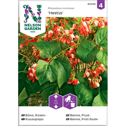 Böna Blomster Hestia 1-p Nelson Garden