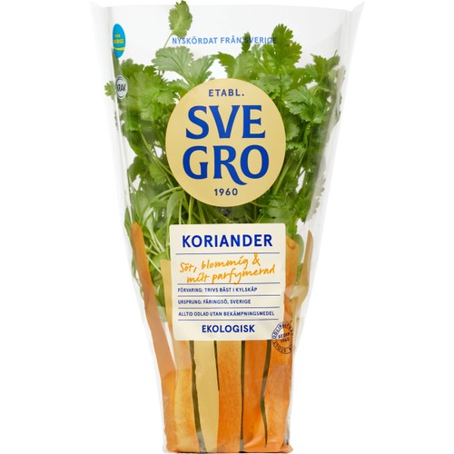Koriander i kruka Ekologisk 1-p KRAV Svegro