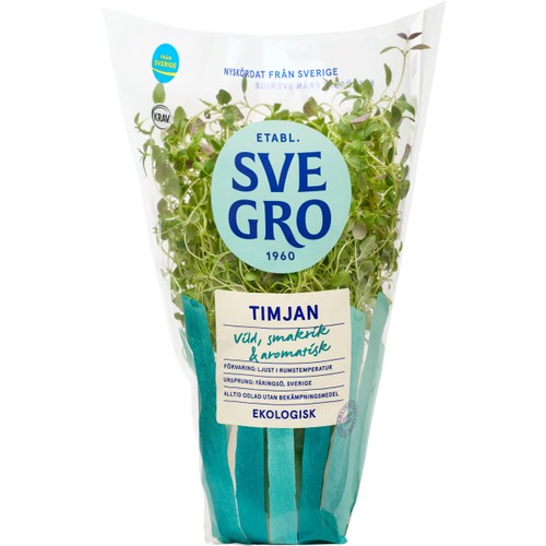 Timjan i kruka Ekologisk 1-p KRAV Svegro