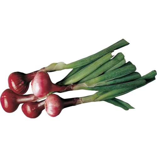 Lök Röd knippe ca 200g Klass 1 ICA