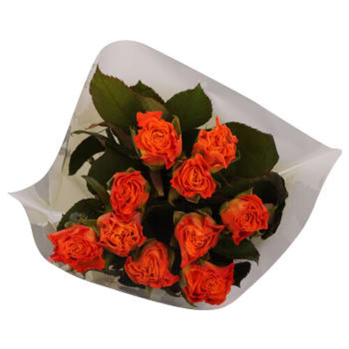 Rosor 10-p 40cm Fairtrade orange ICA