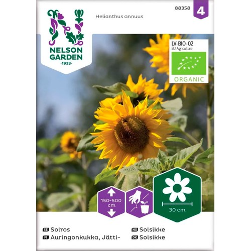 Solros Jätte Gul Organic 1-p Nelson Garden