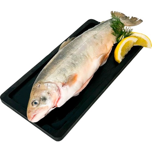 Fjällröding Hel ca 700g Fiskekockarna