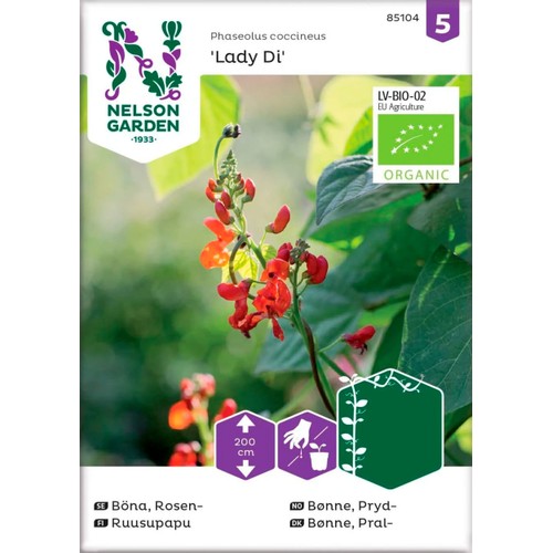 Böna Blomster Lad Di 1-p Nelson Garden