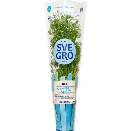 Dill i kruka Ekologisk 1-p KRAV Svegro
