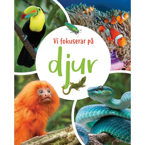 Vi fokuserar på - Djur