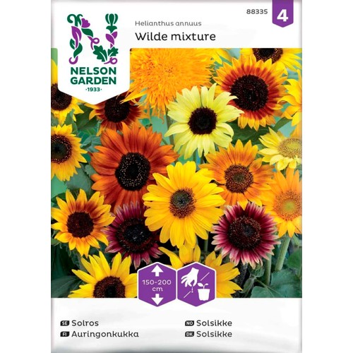 Solros Blandade sorter 1-p Nelson Garden
