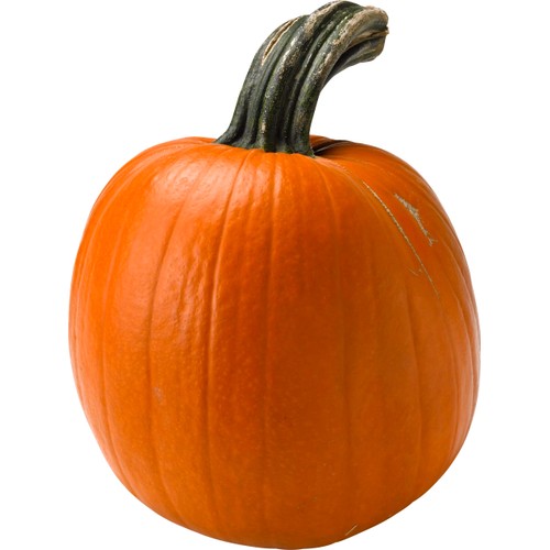 Pumpa ca 4kg Klass 1