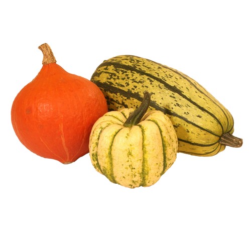 Matpumpa Mix Klass 1