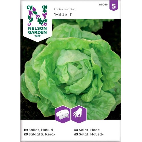 Sallathuvud Hilde 2 Såband 1-p Nelson Garden
