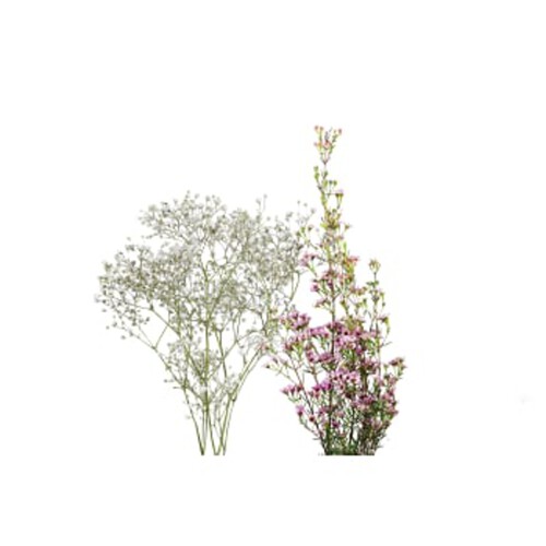 Blommande i bunt att kombinera med tulpaner & rosor 1-p Blomsterboda