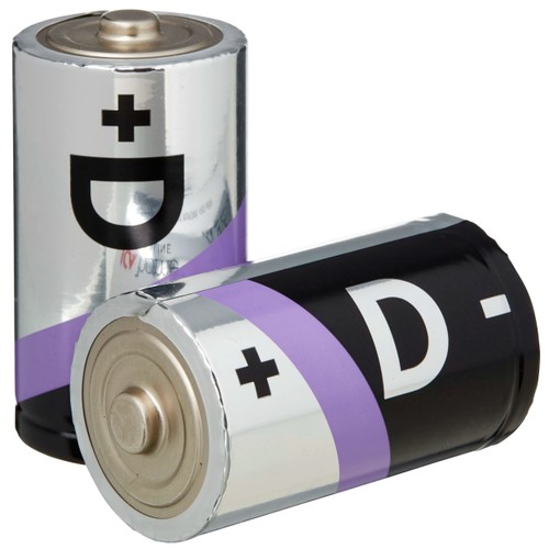 Batteri D/LR20 2-p ICA
