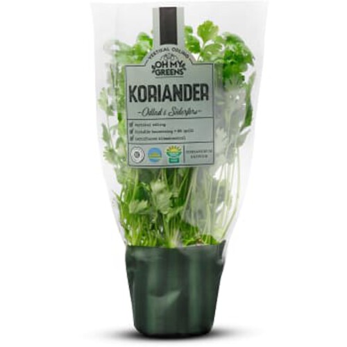 Koriander 30g Oh My Greens