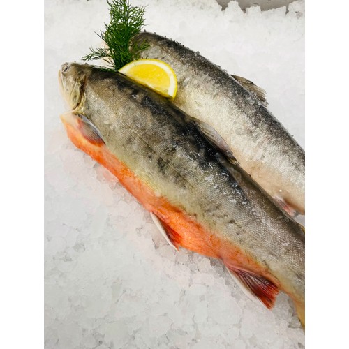 Röding hel ca 750g
