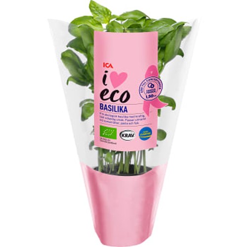 Basilika Ekologisk 1-p KRAV ICA I love eco