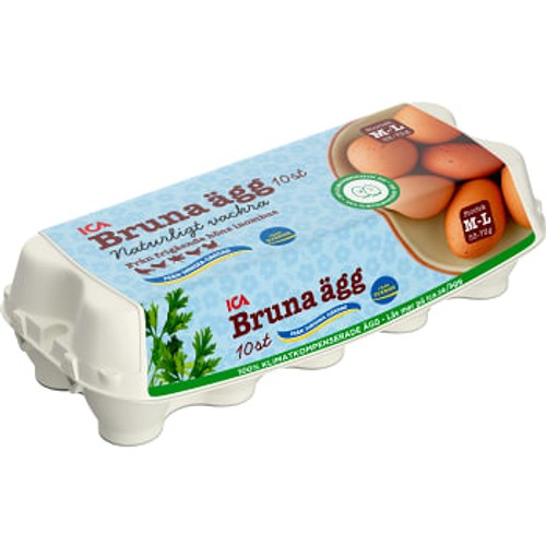 Ägg Frigående Bruna M/L 10-p ICA