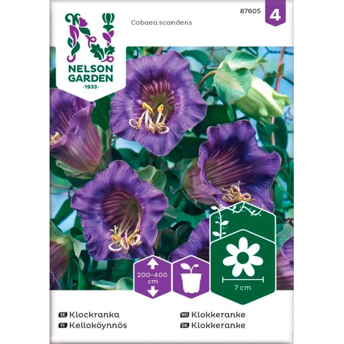 Klockranka Blå Nelson 1-p Garden
