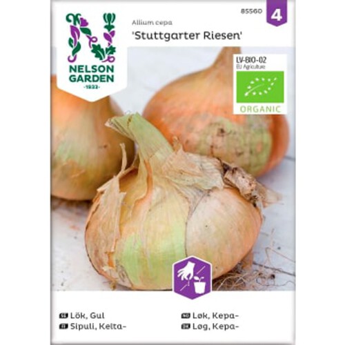 Lök Gul Stuttgarter Riesen Organic Nelson 1-p Garden