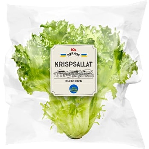 Krispsallat 150 Gram Klass 1 ICA