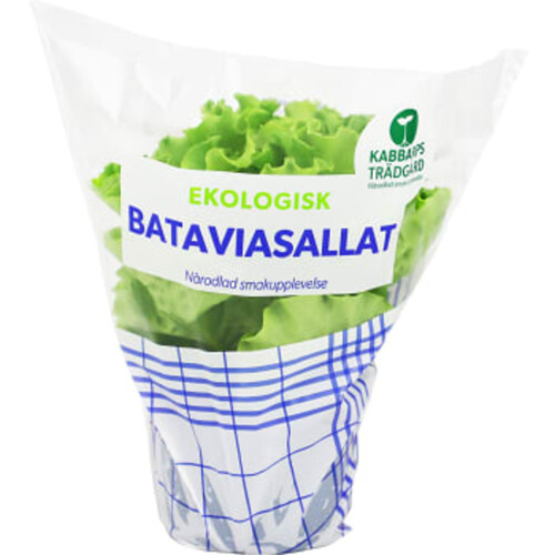 Batavia Kruksallat Ekologisk 340g Klass 1