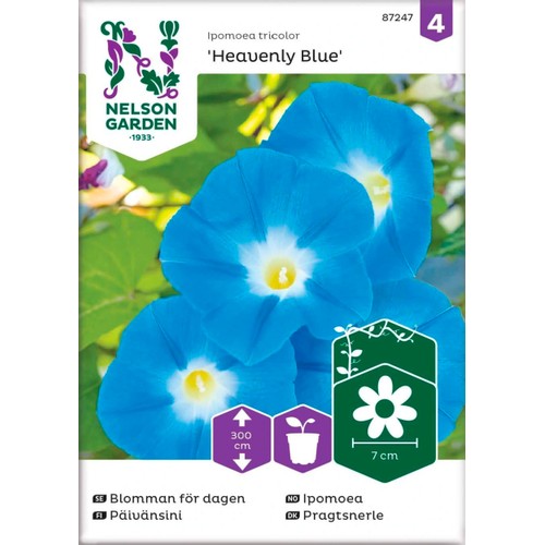 Blomman för dagen 1-p Nelson Garden