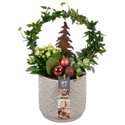 Arrangemang Jul Rustik 14cm