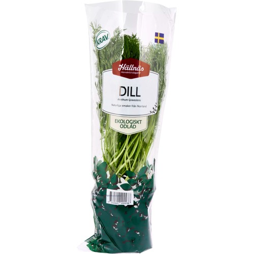 Dill Kruka KRAV Hällnäs Handelsträdgård Klass 1 ICA