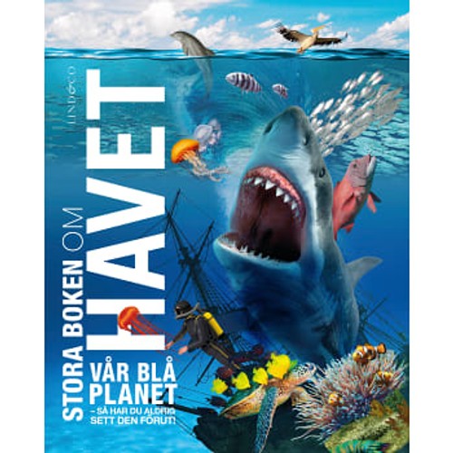 Stora boken om havet