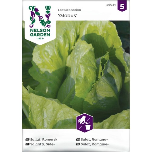 Sallat, Romersk-, Globus Nelson Garden