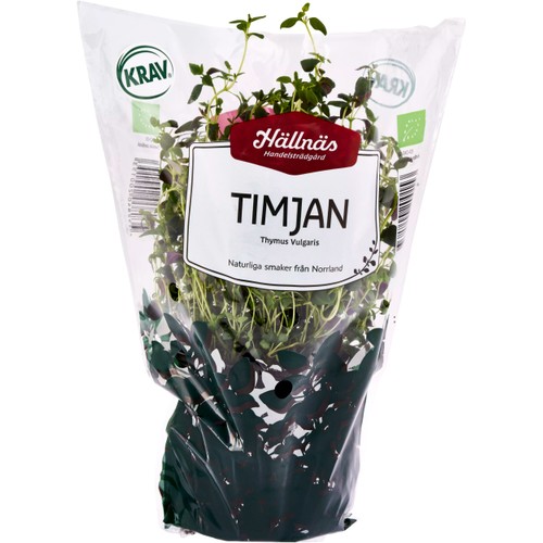 Timjan Kruka KRAV Hällnäs Handelsträdgård