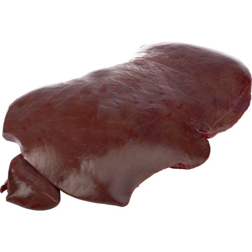Ungnötslever