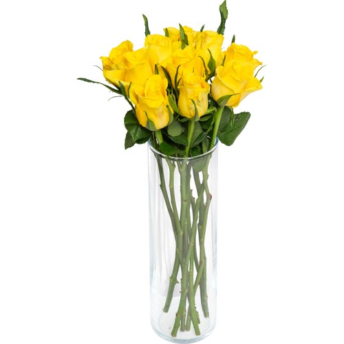 Rosor 10-p 40cm Fairtrade gula ICA