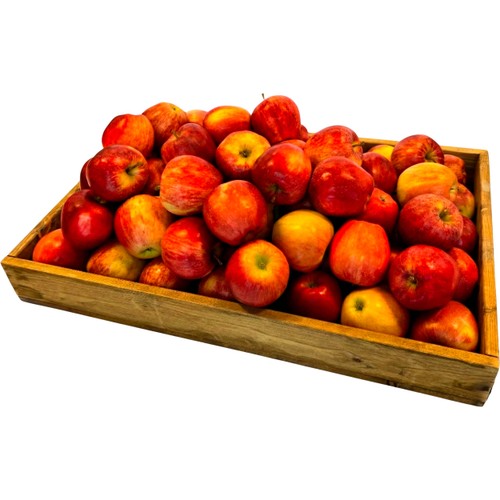 Äpple Royal Gala Hel Låda 13kg ICA Maxi Högskolan