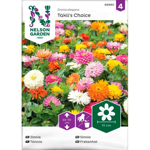 Zinnia, Takii´s Choice