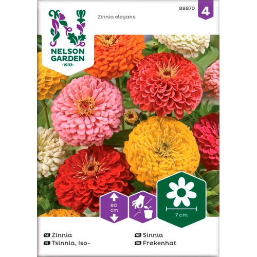Zinnia Hög Blandade färger 1-p Nelson Garden