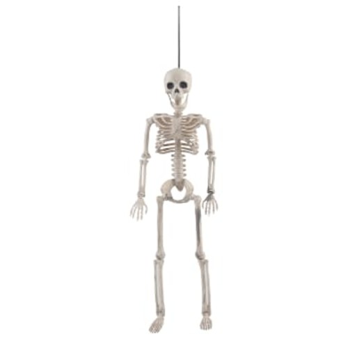 Skelett 40,5cm