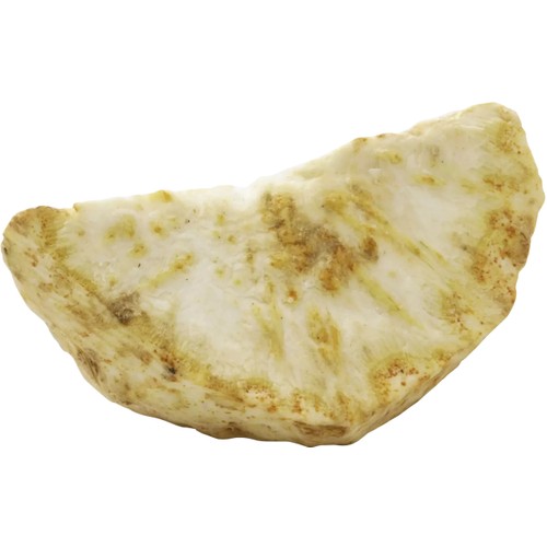 Delad rotselleri