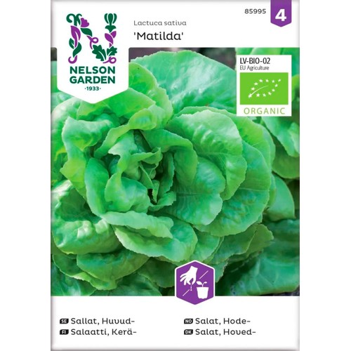 Sallat Huvud Matilda Organic 1-p Nelson Garden
